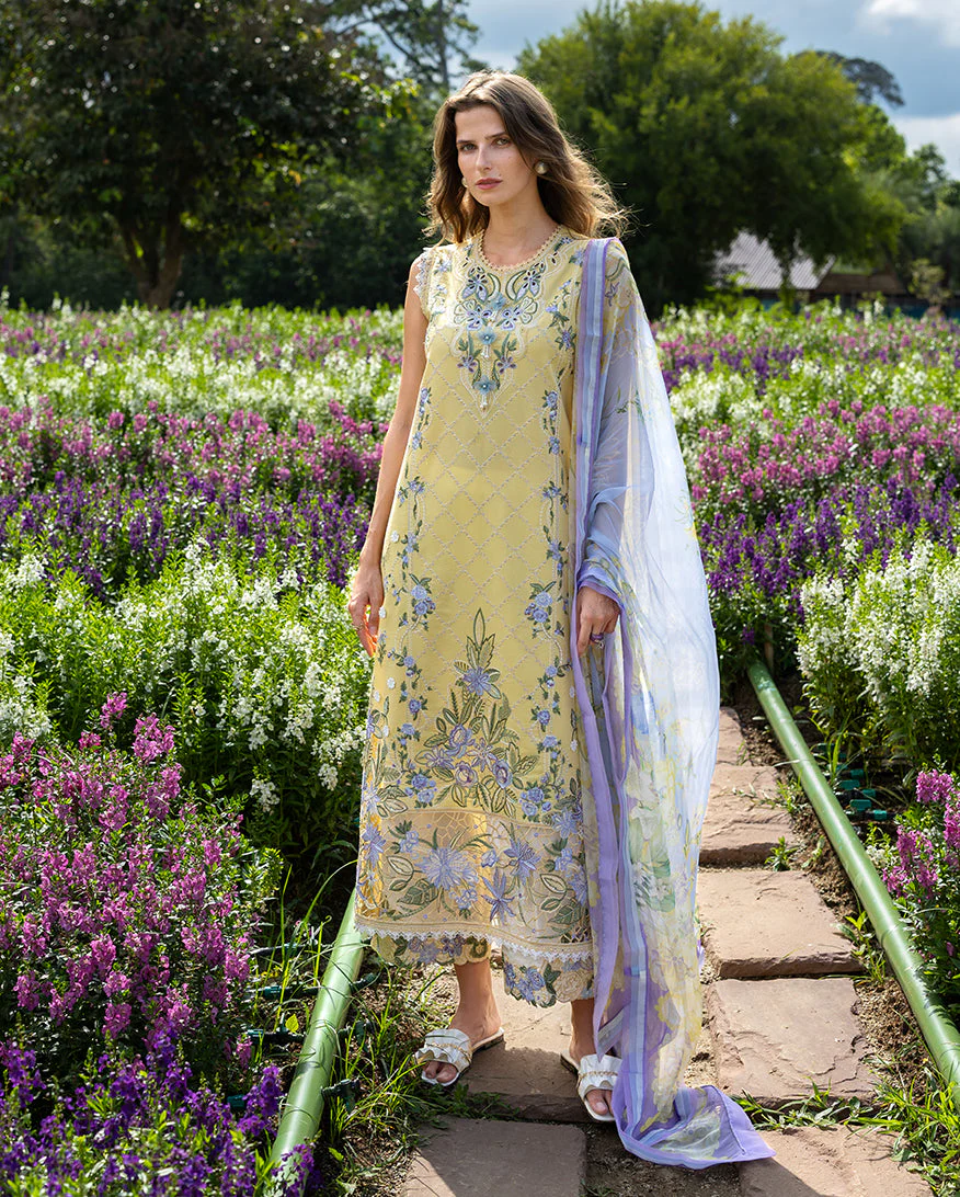 The Secret Garden Mushq Hemline 2026